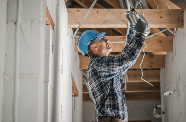 Best Electric Panel Repair  in Lafayette, TN